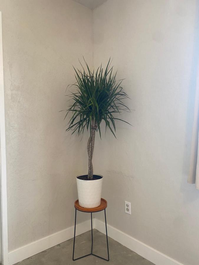 Villa New Listing - Pet Friendly - Casa Del Desierto in Joshua Tree Exterior foto